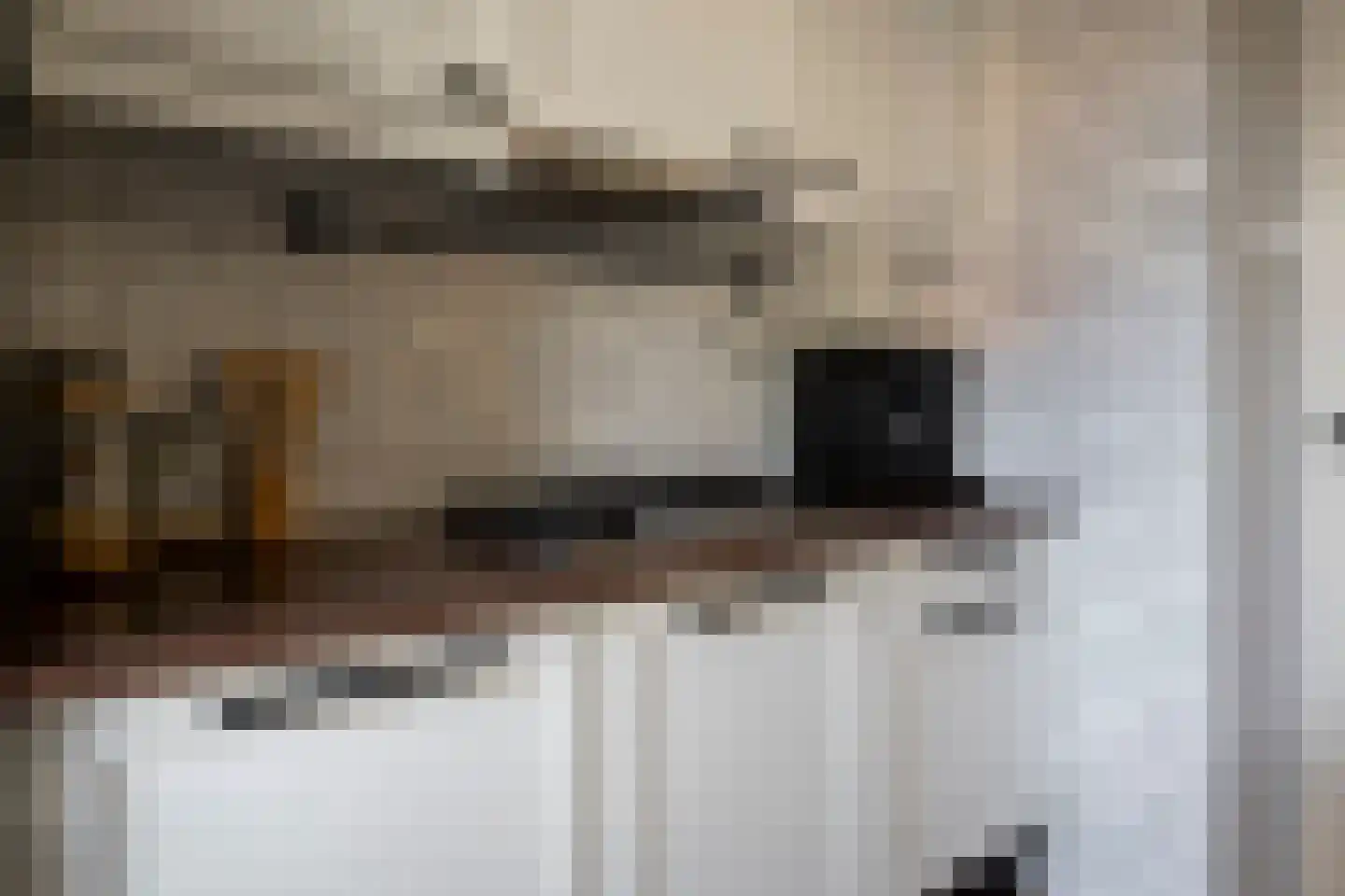 Breemarsweg 558 Hengelo thumbnail 17