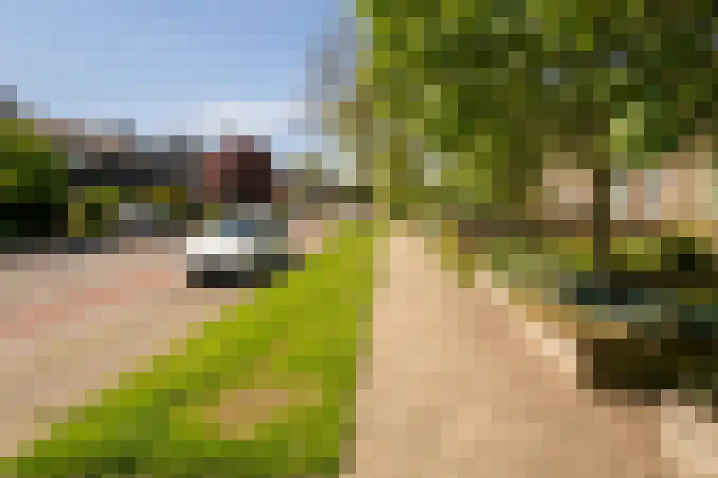 Breemarsweg 558 Hengelo thumbnail 34