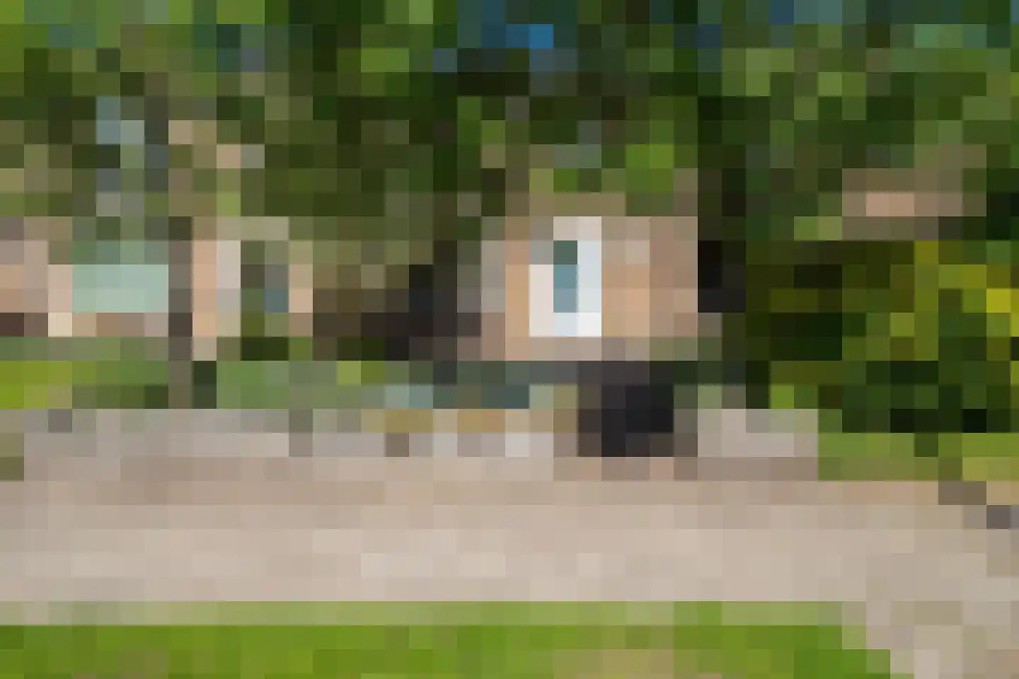 Breemarsweg 558 Hengelo thumbnail 6