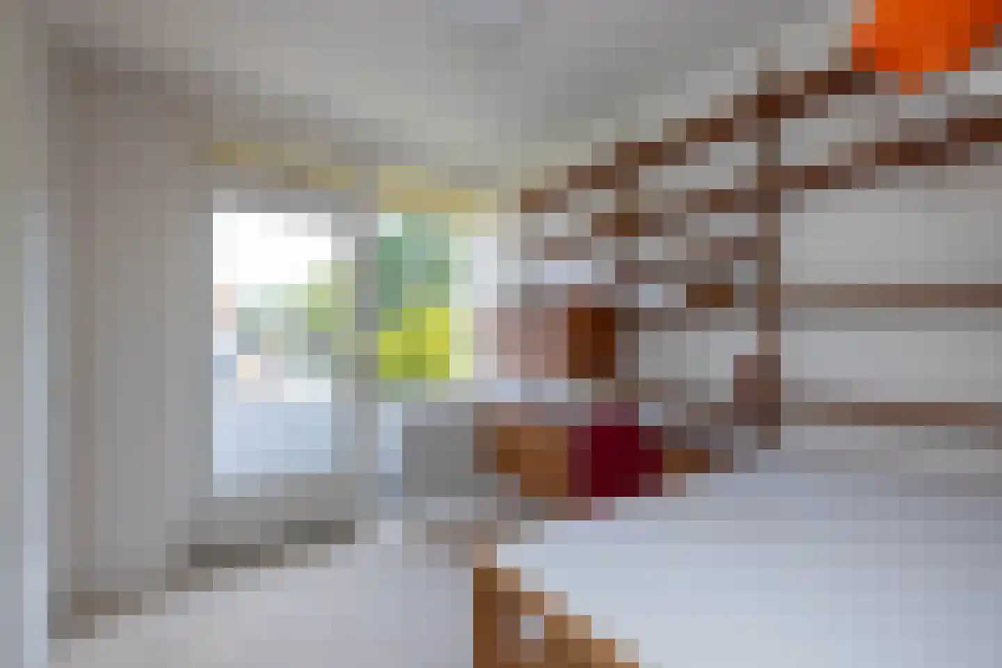 Breemarsweg 583 Hengelo thumbnail 20