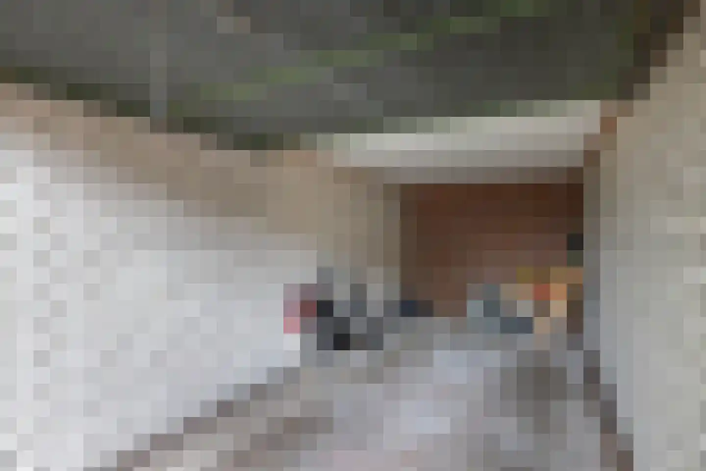 Breemarsweg 583 Hengelo thumbnail 33