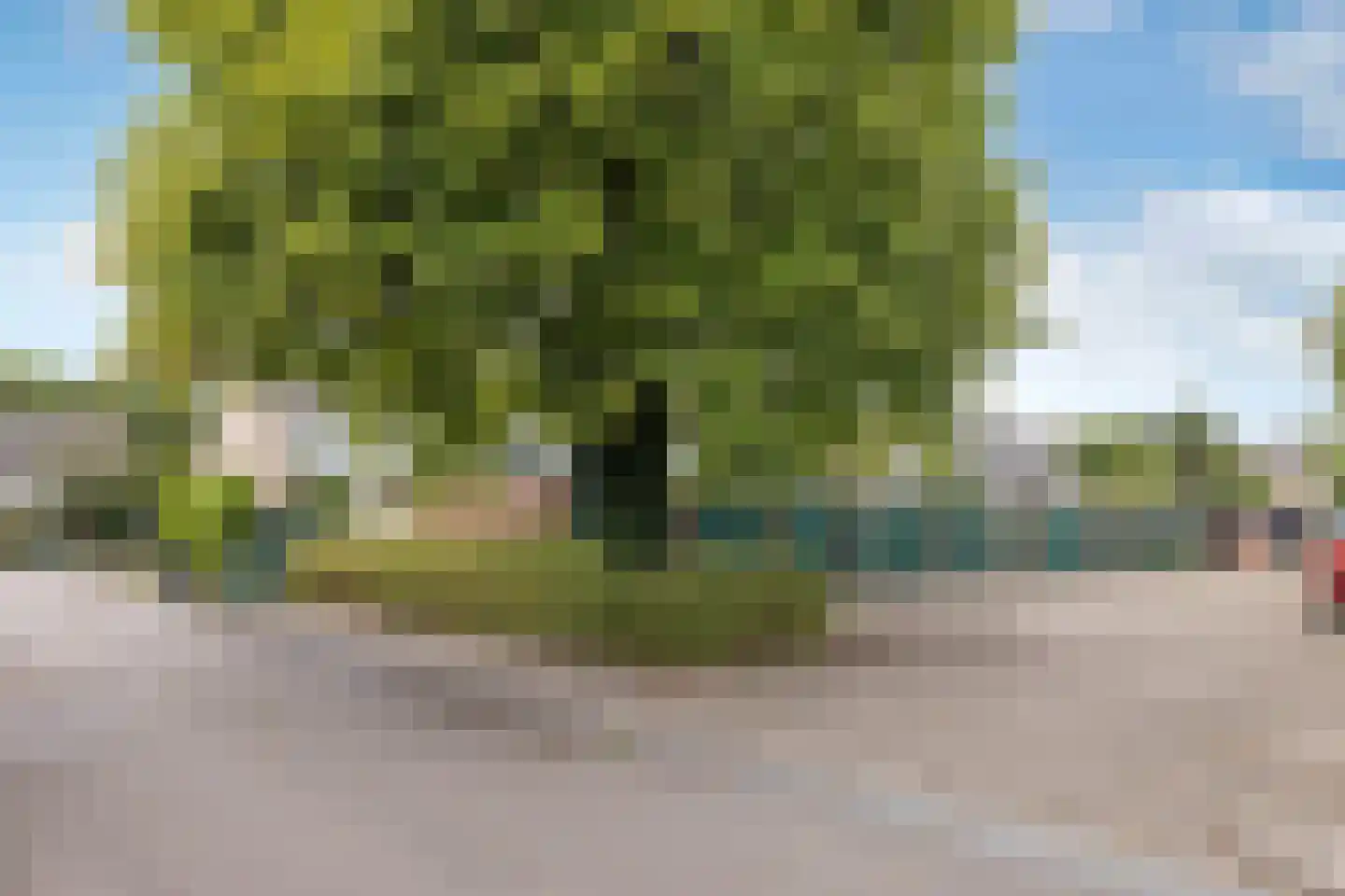 Breemarsweg 583 Hengelo thumbnail 35