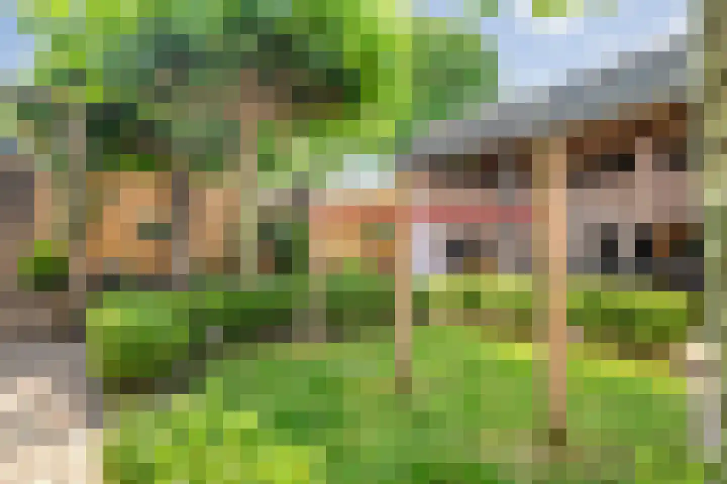 Breemarsweg 595 Hengelo thumbnail 49