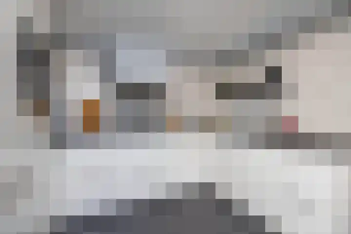 Breemarsweg 647 Hengelo thumbnail 10