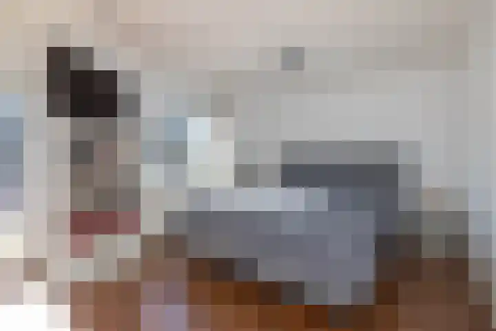 Breemarsweg 647 Hengelo thumbnail 18