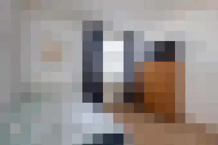 Breemarsweg 647 Hengelo thumbnail 22