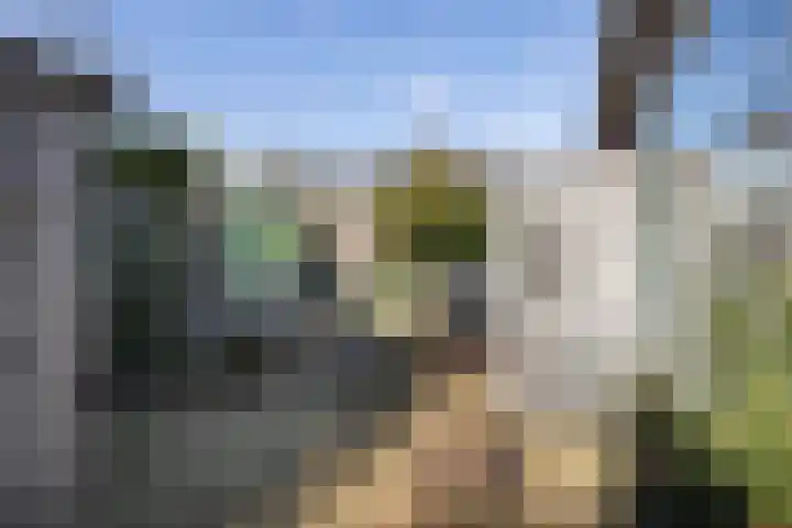 Breemarsweg 647 Hengelo thumbnail 30