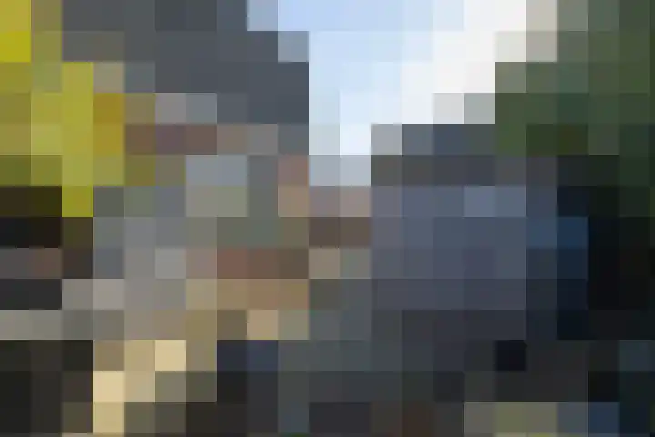 Breemarsweg 647 Hengelo thumbnail 31