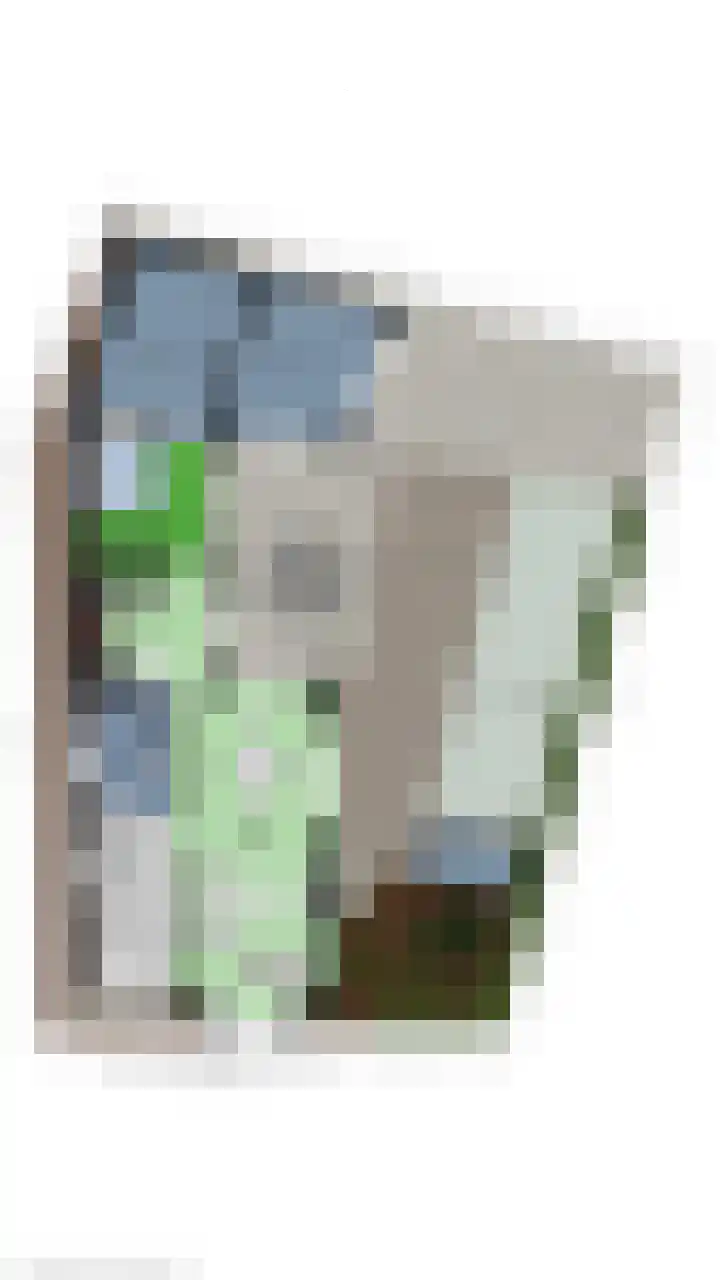 Breemarsweg 647 Hengelo thumbnail 42