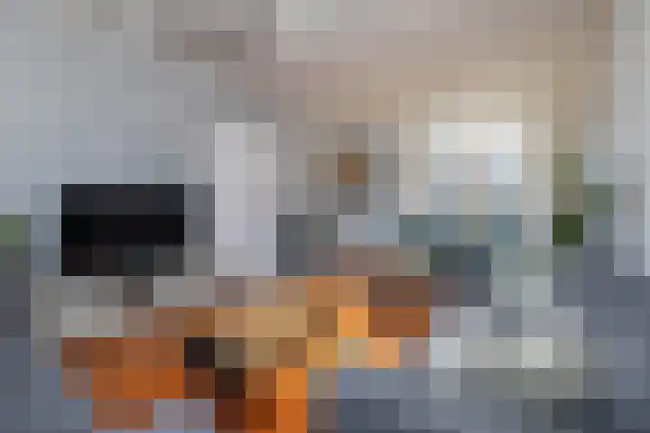 Breemarsweg 647 Hengelo thumbnail 6