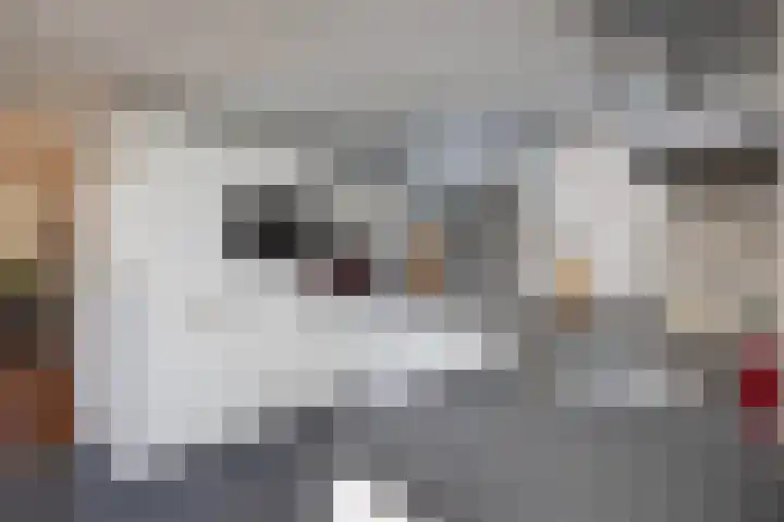 Breemarsweg 647 Hengelo thumbnail 8