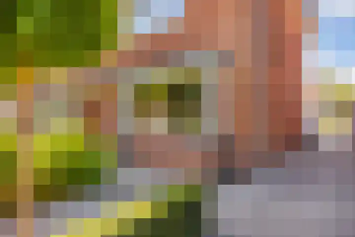 Breemarsweg 81 Hengelo thumbnail 10