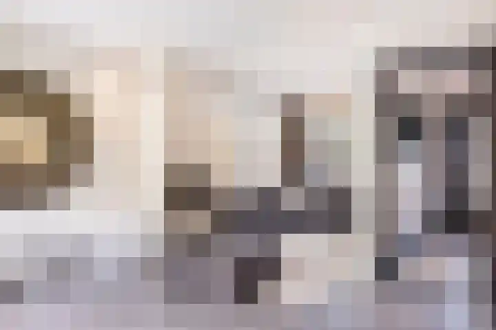 Breemarsweg 81 Hengelo thumbnail 13