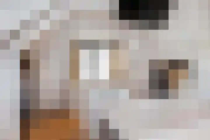 Breemarsweg 81 Hengelo thumbnail 30