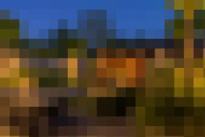 Breemarsweg 81 Hengelo thumbnail 32