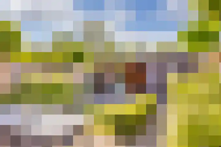 Breemarsweg 81 Hengelo thumbnail 33