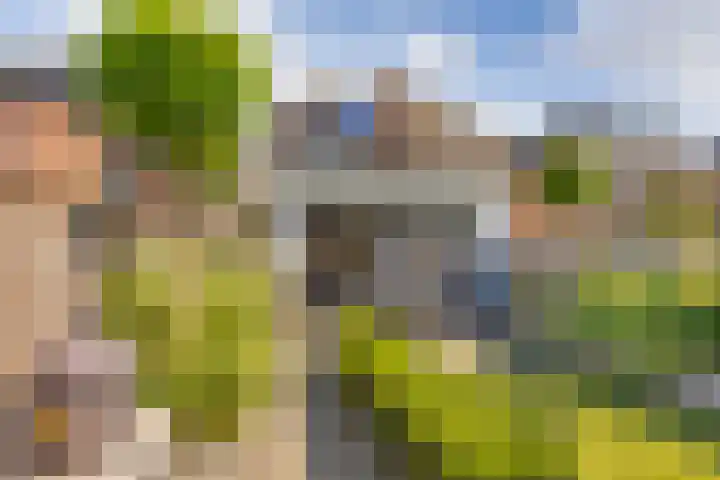 Breemarsweg 81 Hengelo thumbnail 41