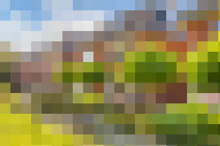 Breemarsweg 81 Hengelo thumbnail 42