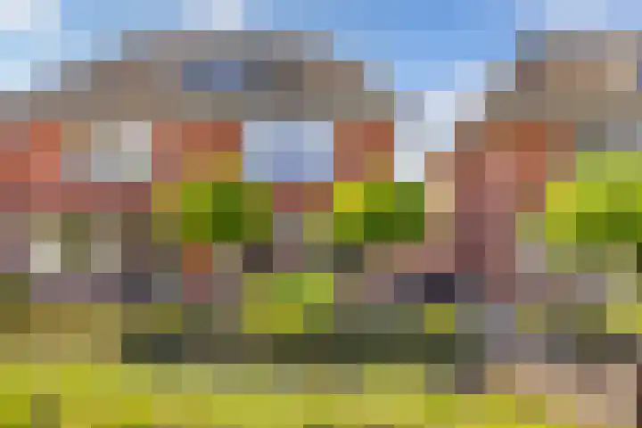 Breemarsweg 81 Hengelo thumbnail 8