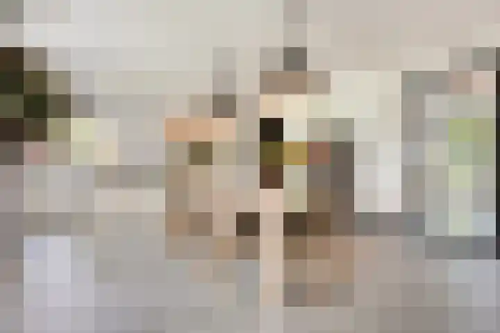 Breemorsweg 16 Fleringen thumbnail 11