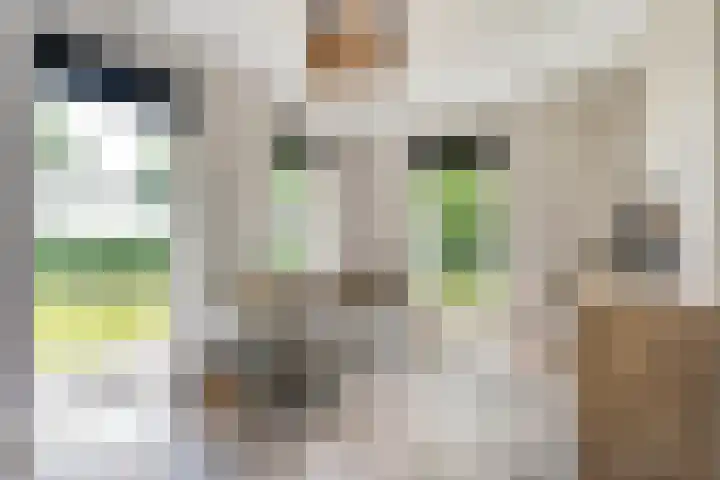 Breemorsweg 16 Fleringen thumbnail 15