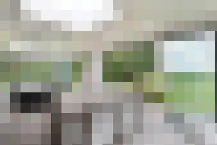 Breemorsweg 16 Fleringen thumbnail 18