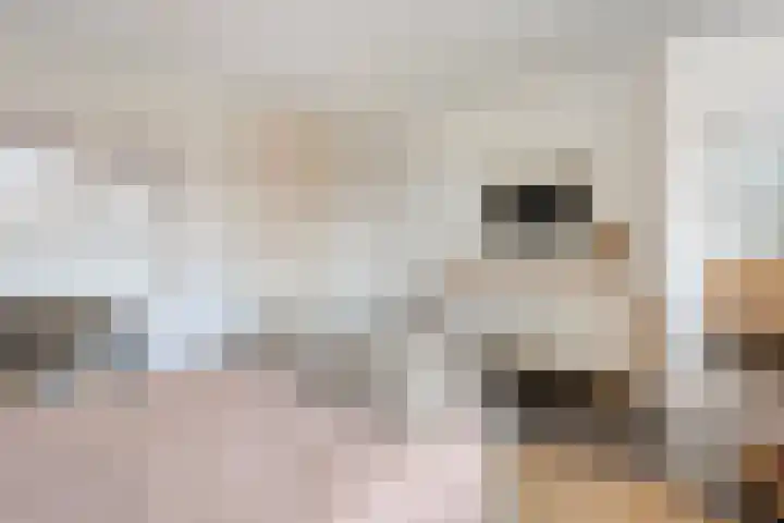 Breemorsweg 16 Fleringen thumbnail 21