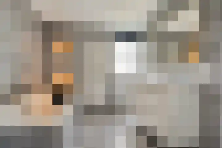 Breemorsweg 16 Fleringen thumbnail 29