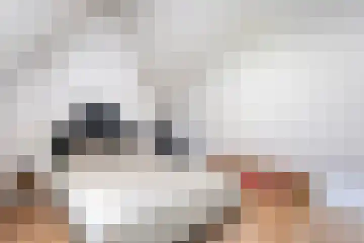 Breemorsweg 16 Fleringen thumbnail 31