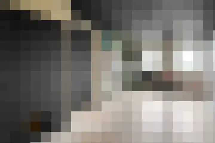 Breemorsweg 16 Fleringen thumbnail 36