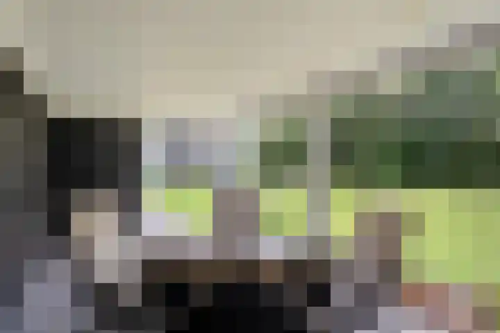 Breemorsweg 16 Fleringen thumbnail 39