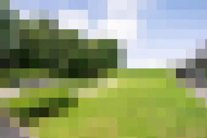 Breemorsweg 16 Fleringen thumbnail 40