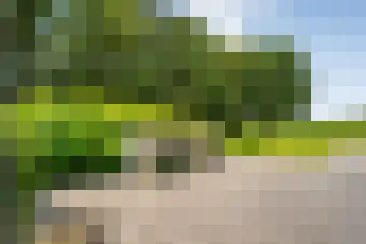 Breemorsweg 16 Fleringen thumbnail 42