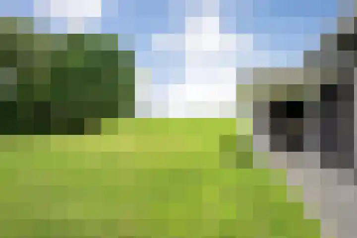 Breemorsweg 16 Fleringen thumbnail 43
