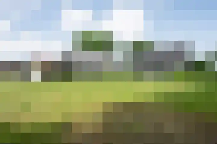 Breemorsweg 16 Fleringen thumbnail 44