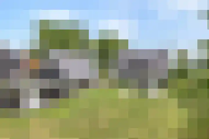 Breemorsweg 16 Fleringen thumbnail 45
