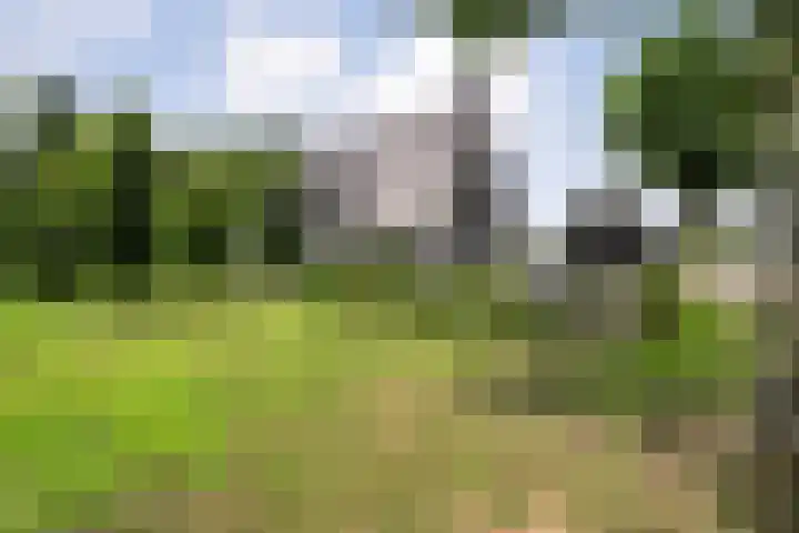 Breemorsweg 16 Fleringen thumbnail 46