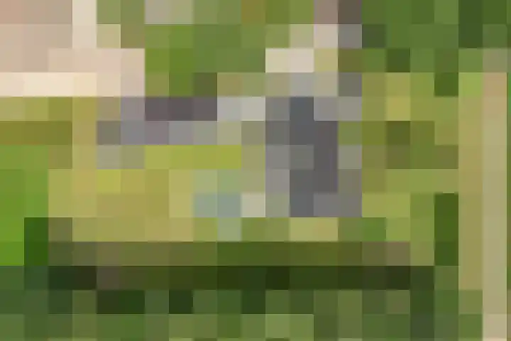 Breemorsweg 16 Fleringen thumbnail 50