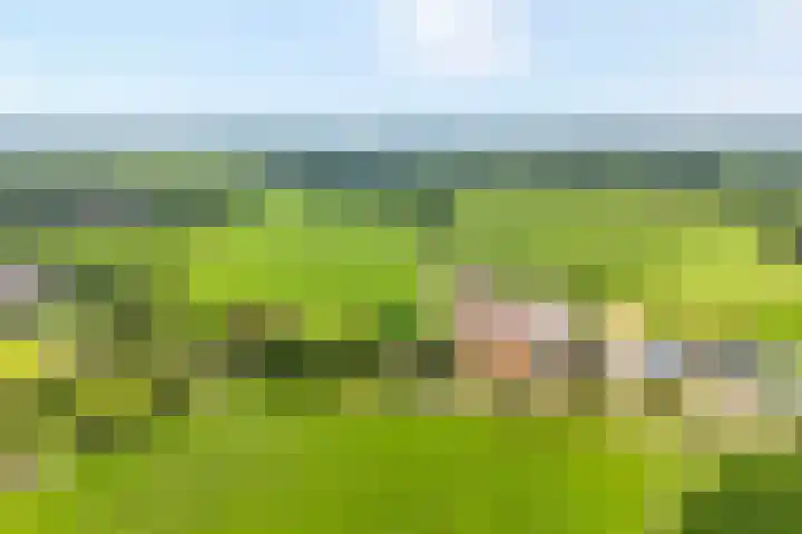 Breemorsweg 16 Fleringen thumbnail 51