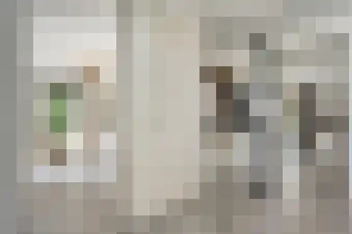 Breemorsweg 16 Fleringen thumbnail 7