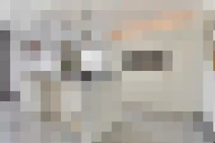 Breemorsweg 16 Fleringen thumbnail 8