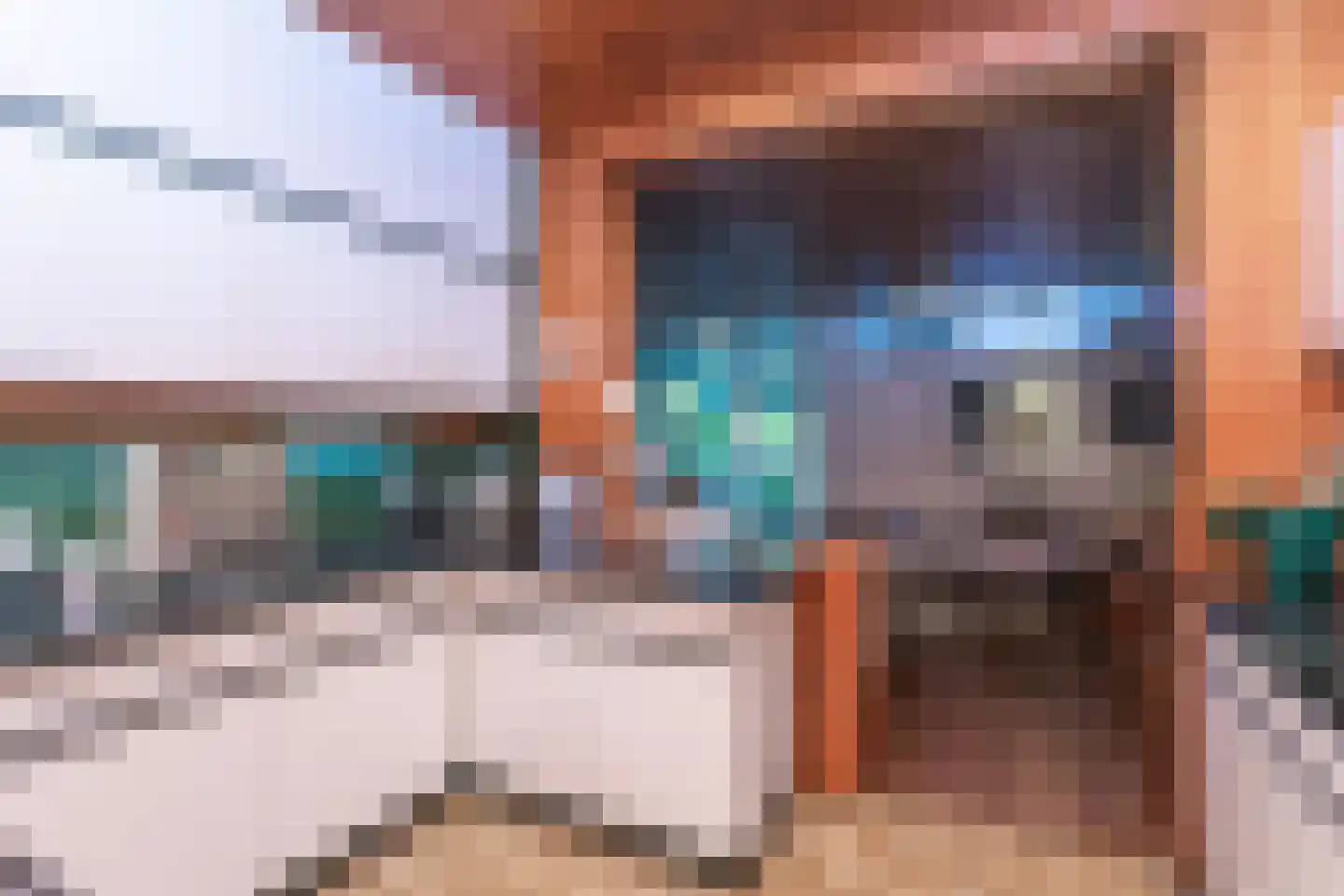 Breemstraat 4 Voerendaal thumbnail 10