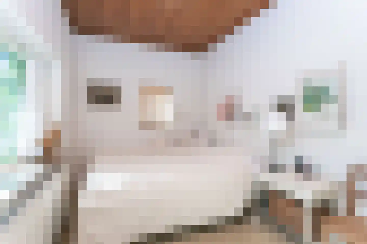Breemstraat 4 Voerendaal thumbnail 15