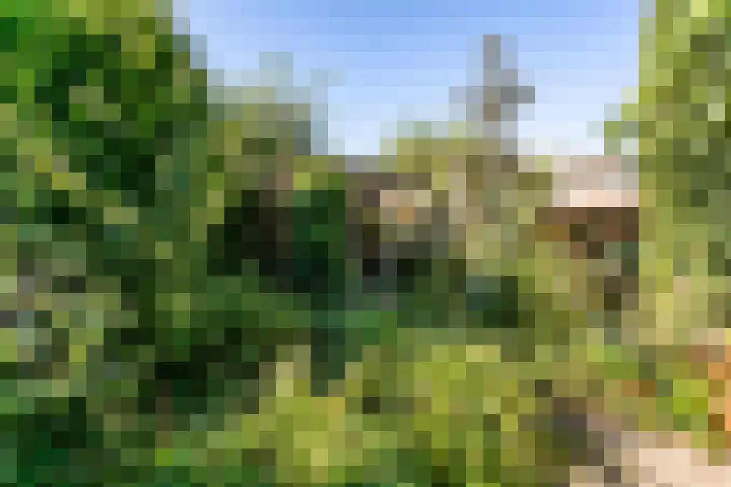 Breemstraat 4 Voerendaal thumbnail 34