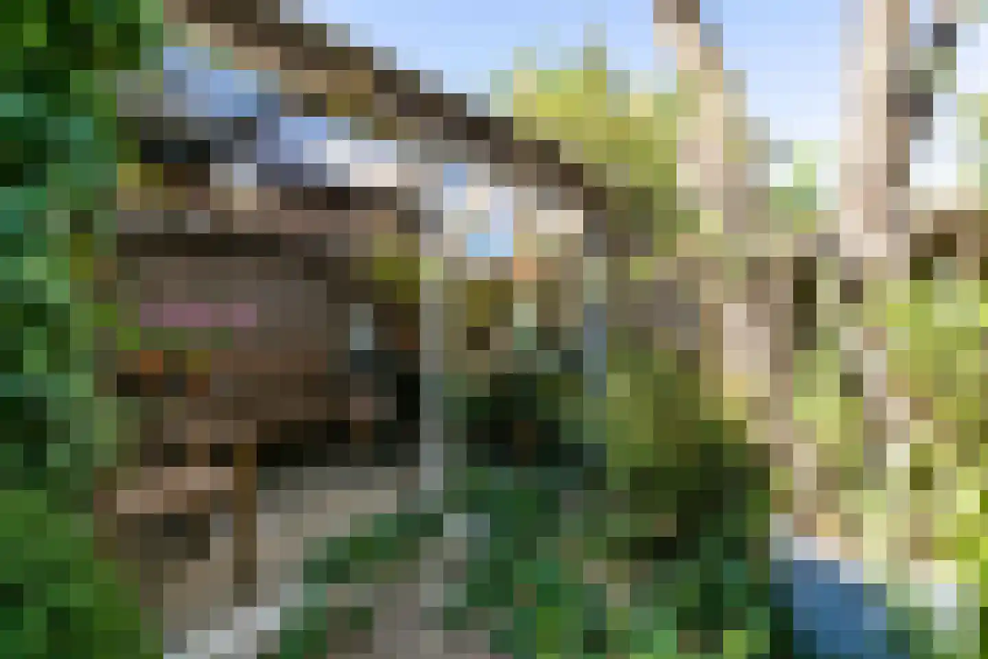 Breemstraat 4 Voerendaal thumbnail 35