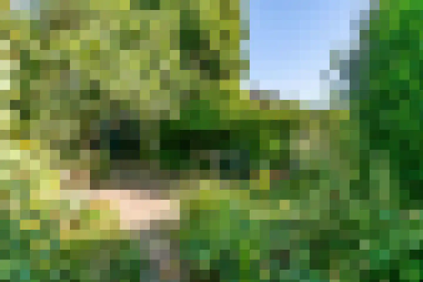 Breemstraat 4 Voerendaal thumbnail 36