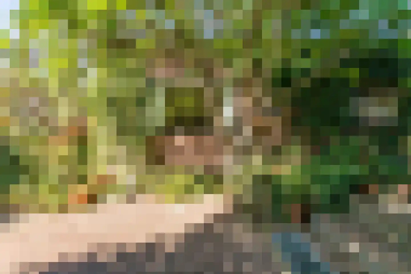 Breemstraat 4 Voerendaal thumbnail 39