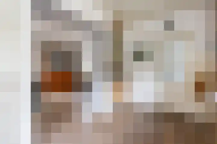 Breenstraat 35 Goedereede thumbnail 17
