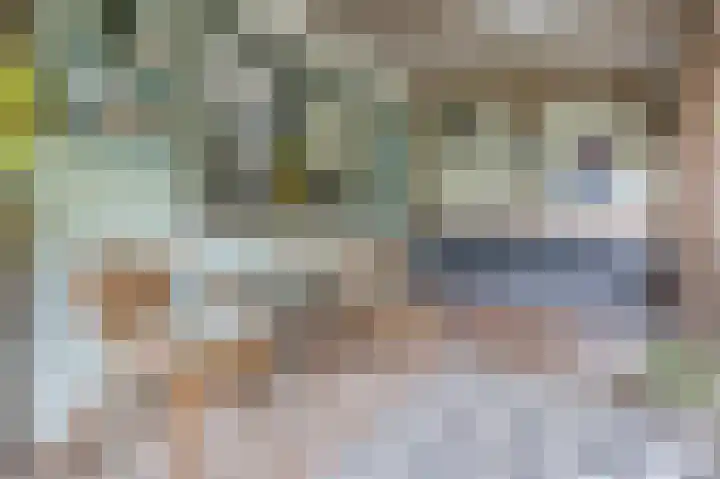 Breenstraat 35 Goedereede thumbnail 36