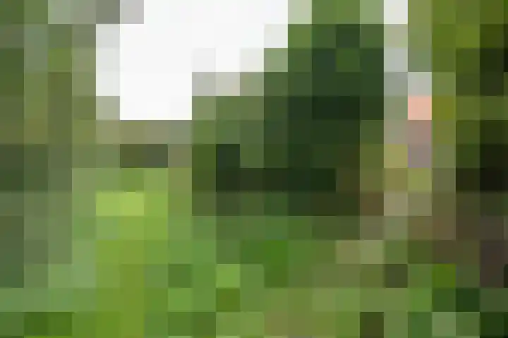 Breenstraat 35 Goedereede thumbnail 4